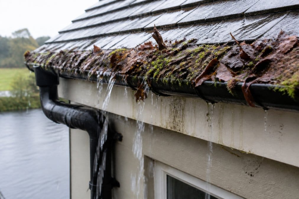 Overflowing gutter completely filled with moss, leaves, and organic debris, water spilling over the edge and running down the fascia board during heavy rainfall
