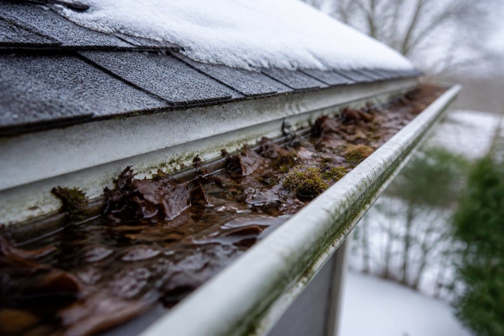 Close-up of a clogged gutter filled with wet leaves, moss, and debris, with water pooling behind the blockage on a pitched roof during winter