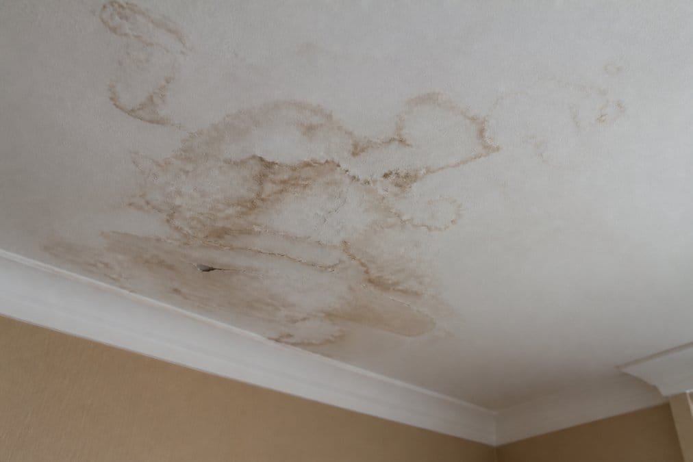 Close-up of water stains and discoloration on a white ceiling with visible moisture damage, peeling paint, and water rings spreading across the surface