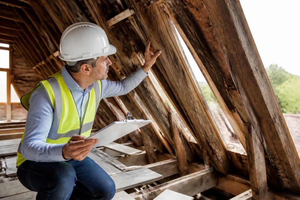 Professional surveyor examining roof structure and timber framework during pre-installation inspection, carefully assessing load-bearing capacity and structural integrity of aged rafters