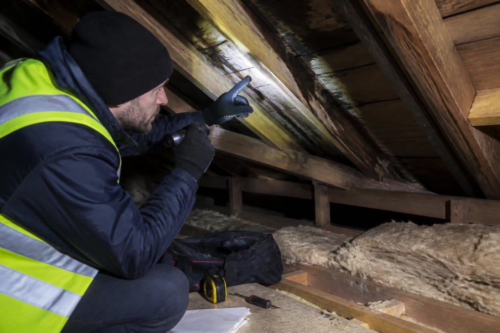 Close-up of a roofer in high-visibility clothing inspecting roof timbers and water stains in a dimly lit loft space, using a torch to illuminate dark wooden beams with visible moisture damage and pointing to areas of concern