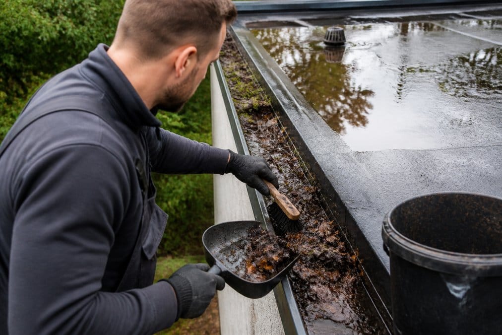 Roofer using handheld brush and scoop to remove accumulated leaves, moss, and debris from flat roof gutter system, with visible buildup of organic matter and water pooling in background
