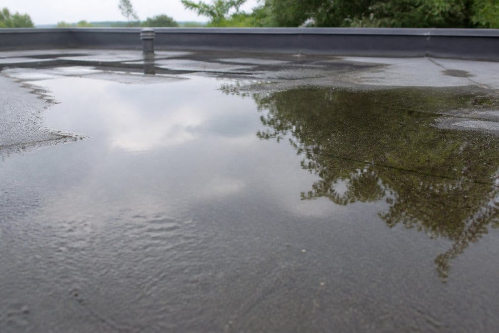 Close-up of standing water pooling on a flat roof membrane surface, showing visible water accumulation and reflections with the grey roof material visible at the edges, taken during daylight