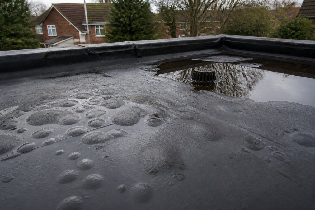 Close-up of a UK residential flat roof showing visible blistering on the membrane surface and a shallow pool of standing water near the drainage outlet on a grey overcast day