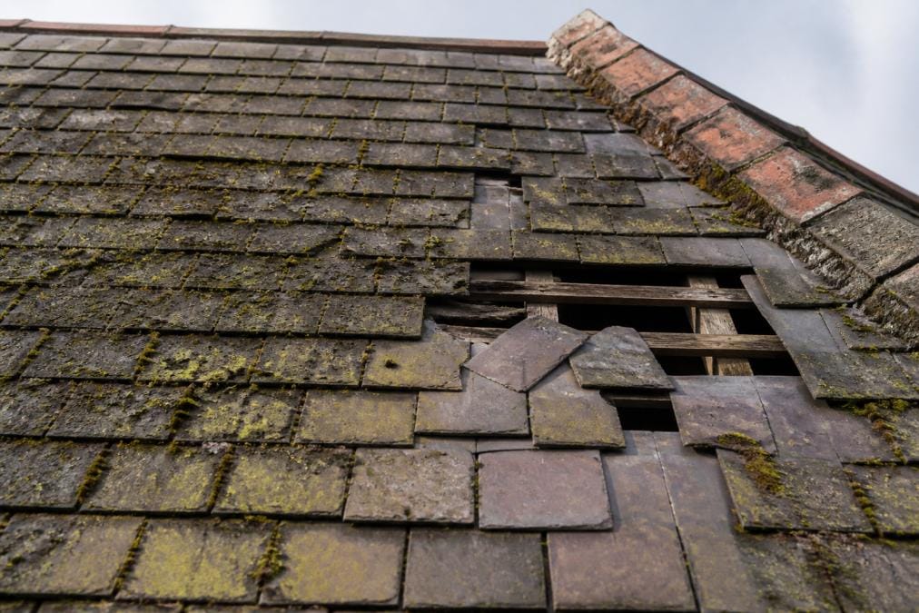 Close-up of slate and clay roof tiles showing multiple cracked sections, missing pieces exposing timber underneath, and patches of green moss growth, photographed from ground level looking upward at damaged areas in natural daylight