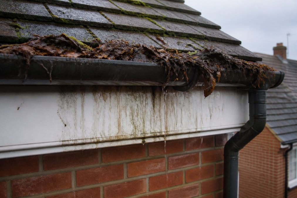 Close-up of a blocked gutter on a British home, showing moss, leaves and debris overflowing with water staining the fascia board below, overcast sky