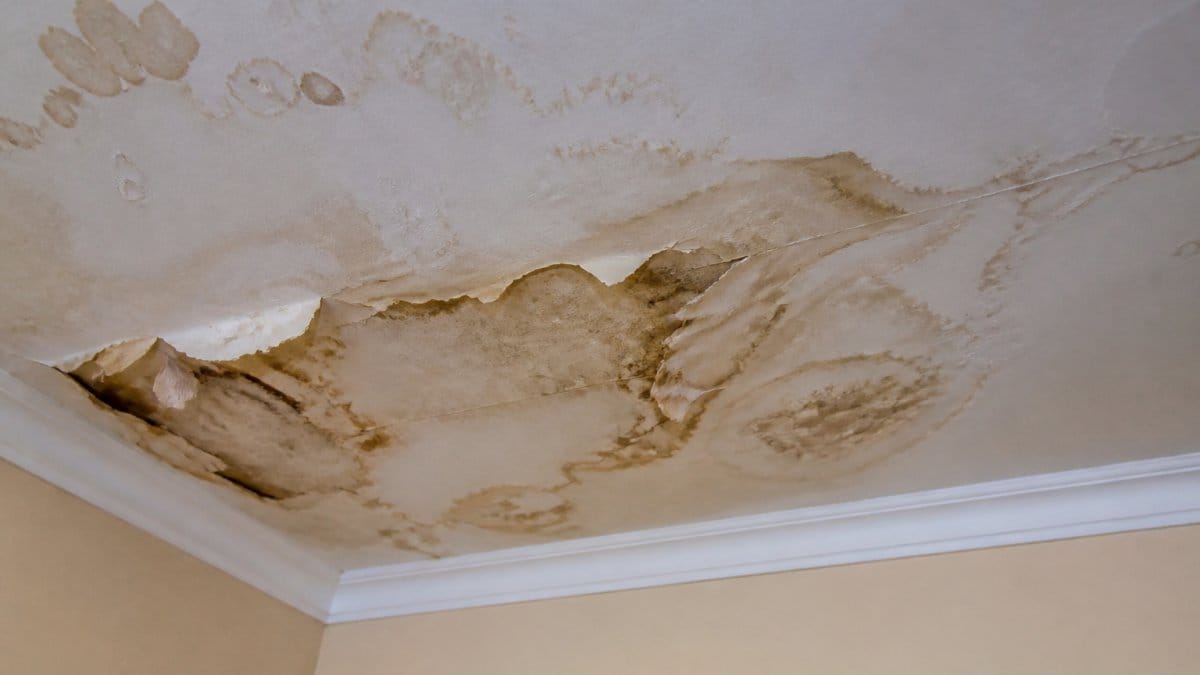 Close-up of visible water stains and discolouration on a ceiling with peeling paint and moisture marks showing signs of water ingress